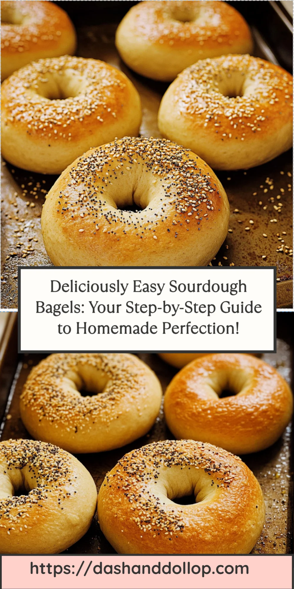 Deliciously Easy Sourdough Bagels: Your Step-by-Step Guide to Homemade Perfection!